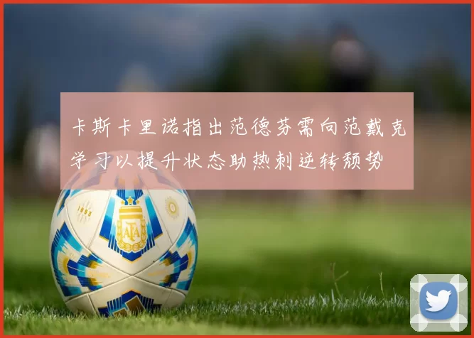 卡斯卡里诺指出范德芬需向范戴克学习以提升状态助热刺逆转颓势