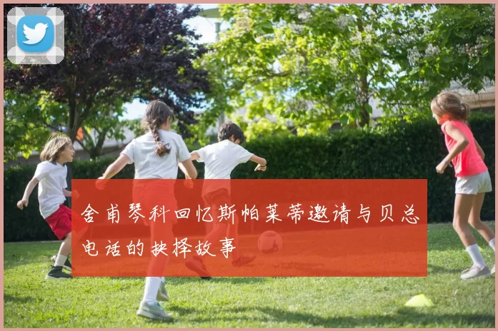 舍甫琴科回忆斯帕莱蒂邀请与贝总电话的抉择故事