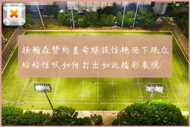 杨瀚森赞约基奇球技惊艳场下观众纷纷惊叹如何打出如此精彩表现